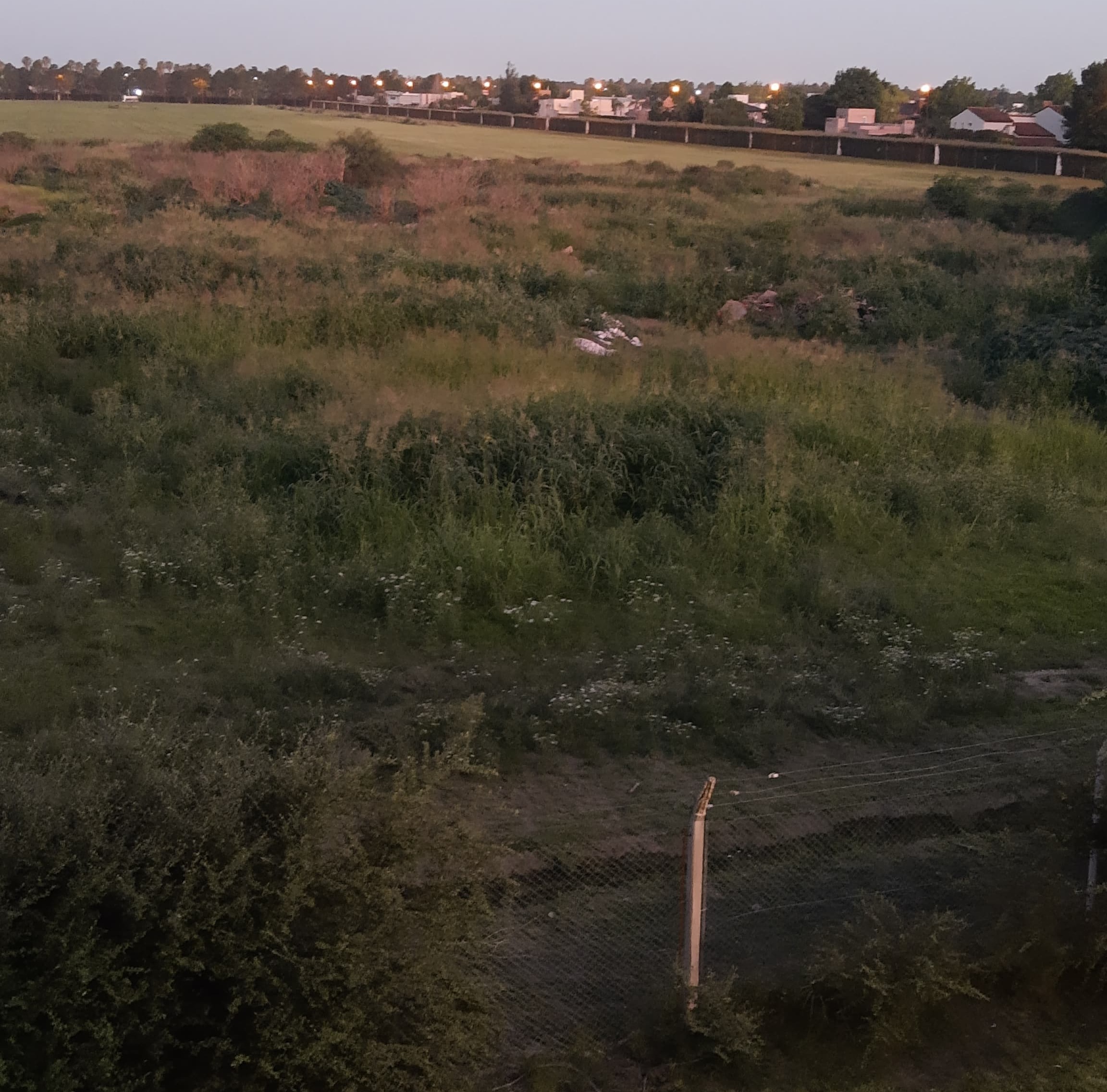 Vecinos de Zona 7 reclaman por la limpieza de un predio municipal abandonado